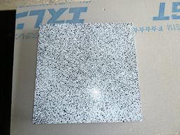 P1000235.JPG